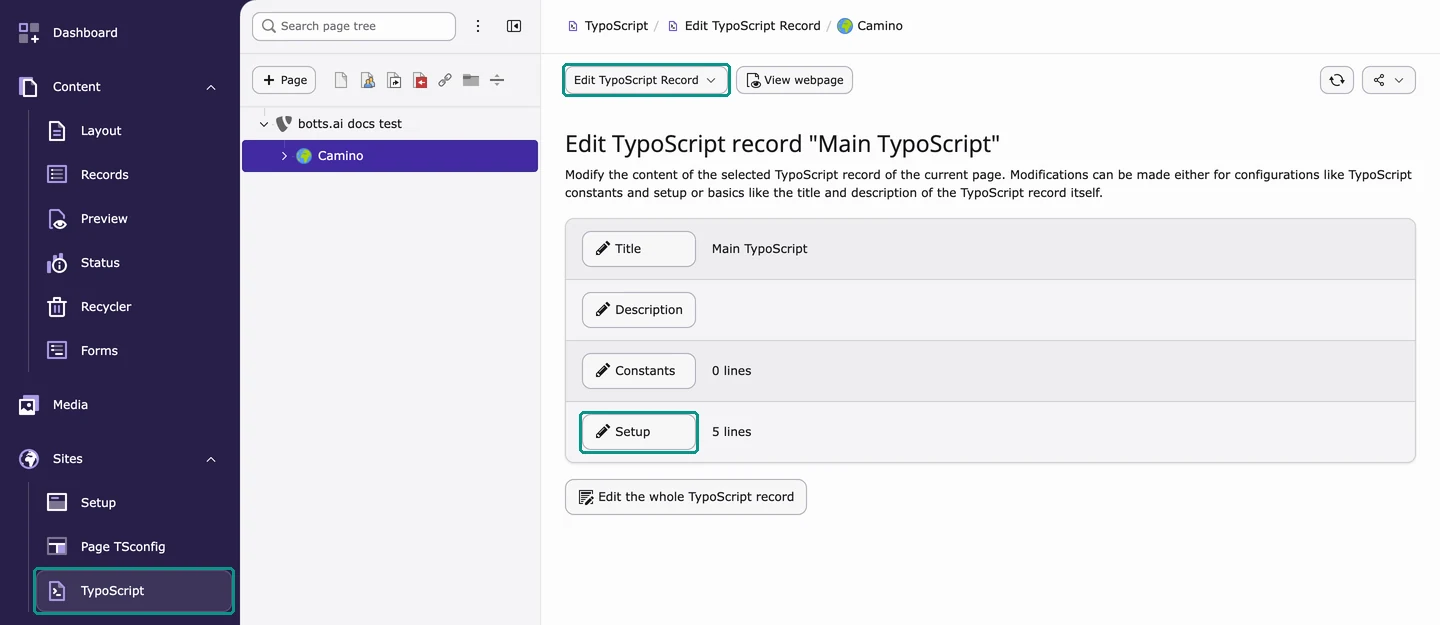 The TypoScript module in TYPO3 v14, opened from Sites → TypoScript, with Edit TypoScript Record selected and the Setup button highlighted.