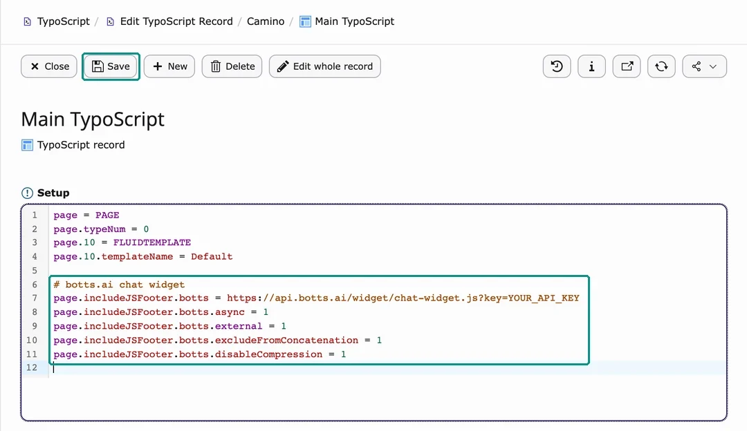The Setup field of the TypoScript record, with the botts.ai lines added at the end and key=YOUR_API_KEY in the first of them.